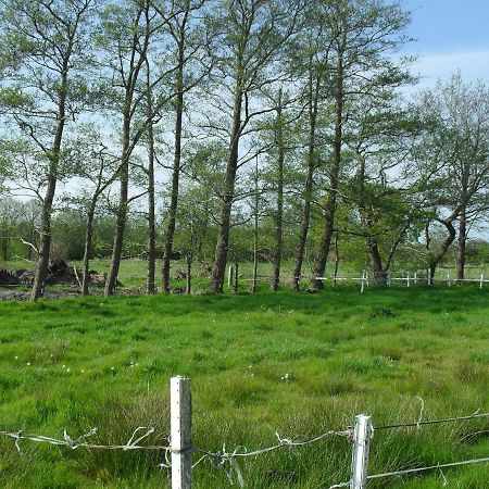 Ferienwohnung Ferienhof Schlachter Berumbur Exterior foto