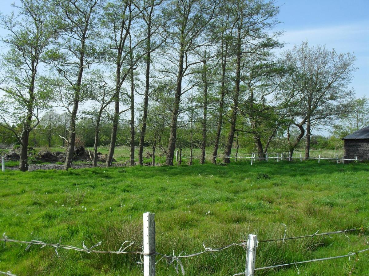 Ferienhof Schlachter Berumbur Exterior foto